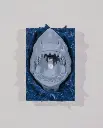shark 2.webp