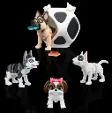 dog 1.webp