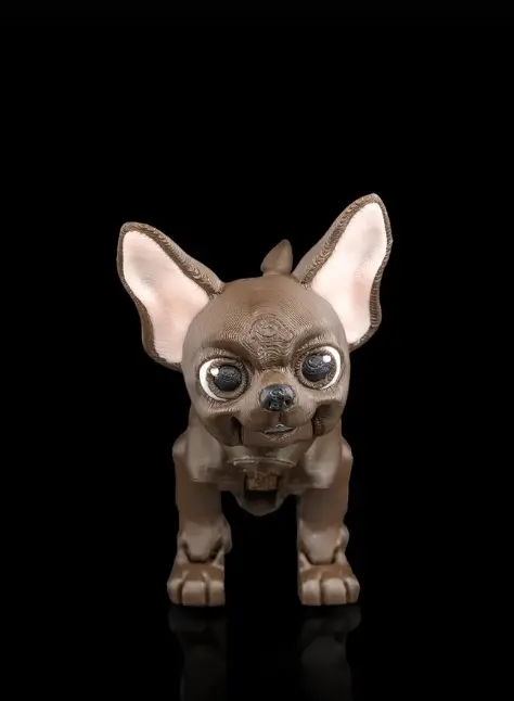 Lupe, the Chihuahua