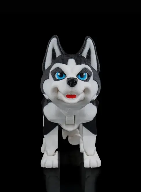 Mya The Huskey