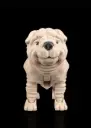 Louis, the Shar Pei