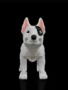 Rex, the Bull Terrier