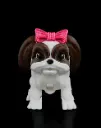 Rachel, the Shih Tzu