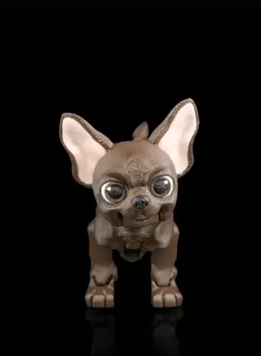 Lupe, the Chihuahua