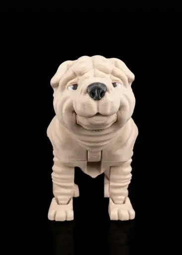 Louis, the Shar Pei